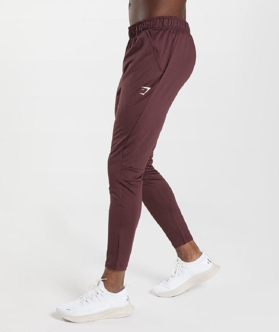 Gymshark Sport Muške Jogger Hlače Bordo | HR 2945TCE